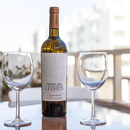 Apartment Open Space