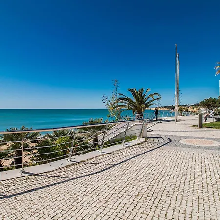 Open Space Apartment