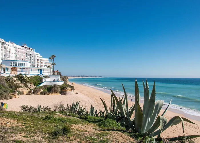 Open Space Armação de Pêra